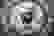 item-40450335=2