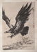 Attributed to Chen Yanning | Eagle - 2