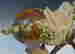item-51306990=12