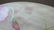 Large Daum Nancy Cameo Art Glass Bowl - 4
