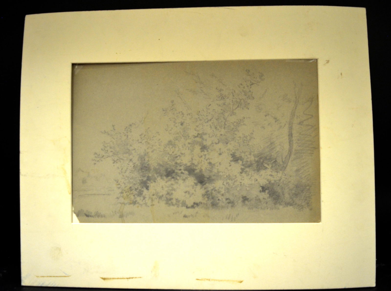 Drawing by Albert Bierstadt (1830 -1902): Charcoal Drawing by Albert Bierstadt (1830 -1902). Provenance: Sotheby's NY. 17" x 12"