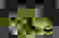 item-41639155=7