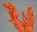 Chinese Coral Carved Group Figure on Wood Base - 10