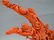 Chinese Coral Carved Group Figure on Wood Base - 4
