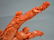 Chinese Coral Carved Group Figure on Wood Base - 9