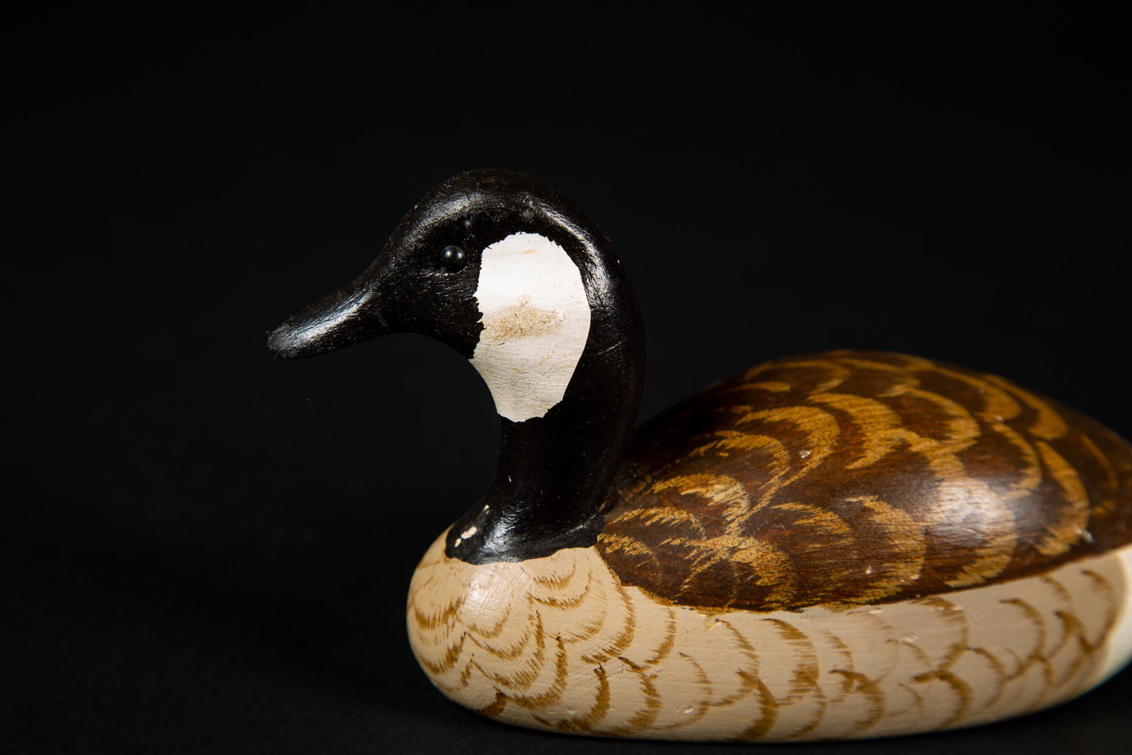 Miniature Canadian Goose Decoy by Herb Daisey: Miniature Canadian Goose Decoy by Herb Daisey, 7 1/4" long, swimming goose with head turned slightly to the right, signed on the bottom in pen "Herb Daisey Jr, Chincoteague VA, Canada Goose", very goo