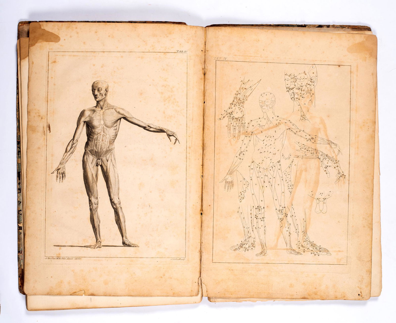 John Brisbane, The Anatomy of Painting: Or a Short and: John Brisbane, The Anatomy of Painting: Or a Short and Easy Introduction to Anatomy (London: George Scott, 1769). Estimate: $300 - $500