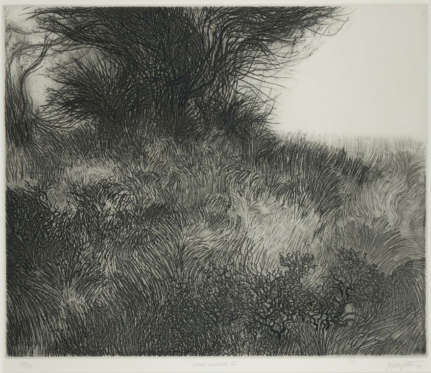 Peter Winslow Milton, etching "Summer Landscape III": Peter Winslow Milton, limited edition etching, titled, signed and numbered in pencil on the bottom, "24/50, Summer Landscape III, Peter Milton, 62," 15 1/2" x 18," in a matted frame under Plexiglas. C