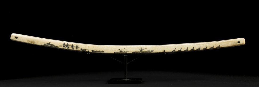 Inuit Pictographic Bow: Inuit Pictographic Bow, these were traditionally use to turn a fire stick or drill, each side has been ink engraved with reindeer, hunters, geese, boats, walrus hunt and more, 18 1/4" long, appears to
