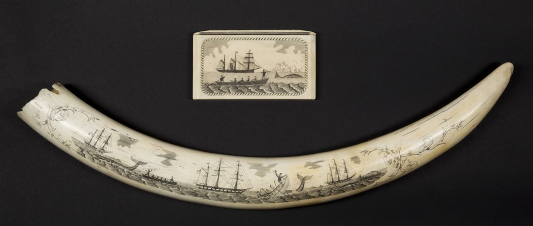 Scrimshaw Decorated Tusk and Case: Scrimshaw Decorated Tusk and Case, decorated and presented to "William McNeil on his retirement as captain of the ship two sisters from the crew, Peterhead Aug 1921" as engraved on the back of the cig