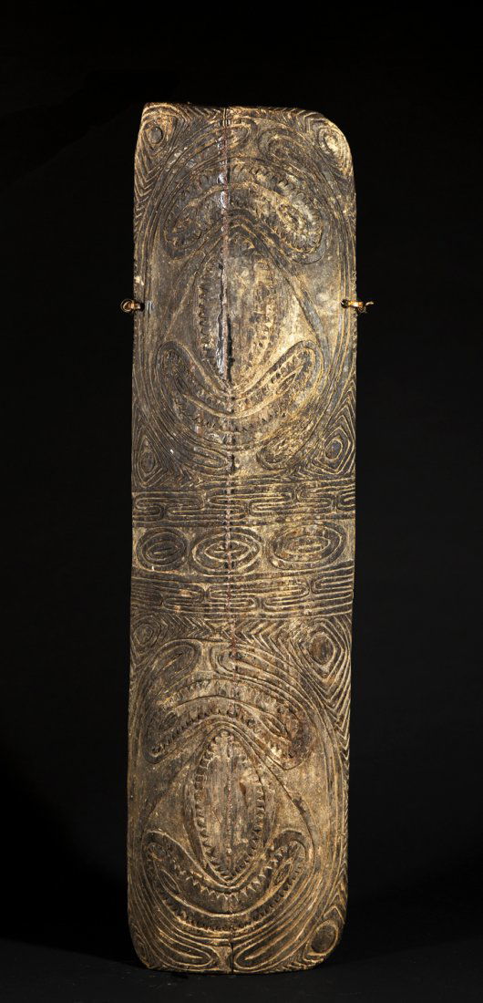 A fine and old Washkuk war shield (1 of 10)