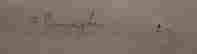 item-53664644=3