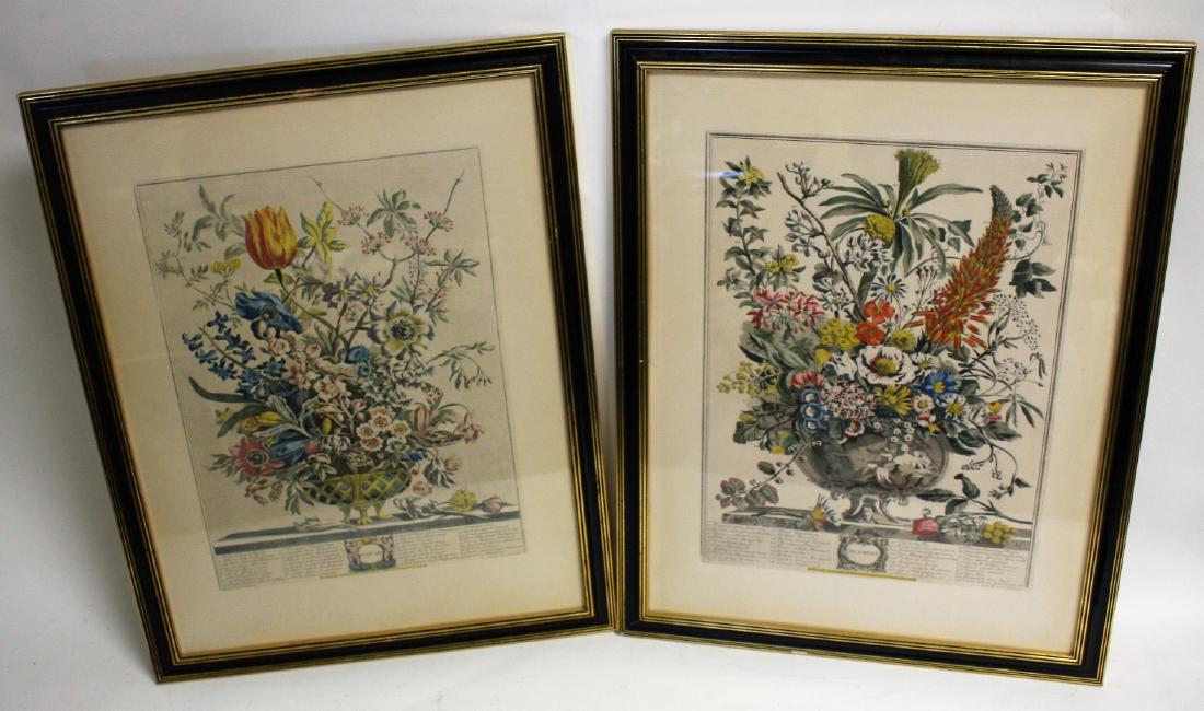 Pair of 19thC. Hand Colored Botanical Engravings (1 of 5)
