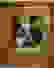 item-56599503=3