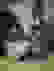 item-56599503=6