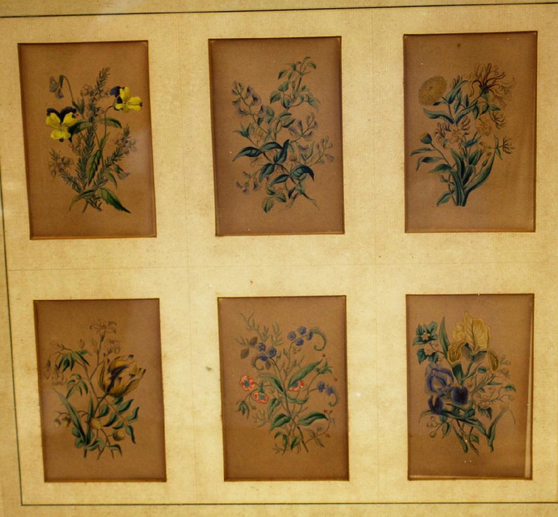 Continental School; Six(6) Framed Botanical: Watercolor on paper. Six(6) framed miniature botanical sketches. Floral Arrangements. Unsigned; 4.25in. X 2.75in.(image size each)