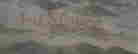 item-58071167=3