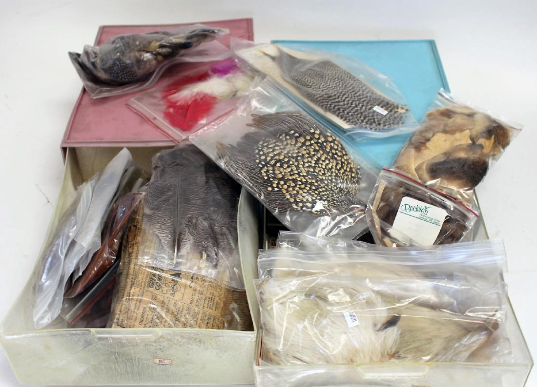 Two(2) Lots of Exotic Fly Fishing Feathers (1 of 3)
