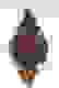 item-59651417=5