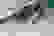 item-59651513=2