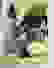 item-59913947=5