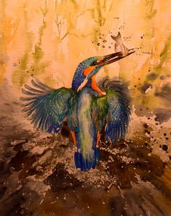 R. Winters; 20thC. Watercolor - Kingfisher Signed: Watercolor on paper. Kingfisher. Signed l.l.; 16in. X 13in.(image size)