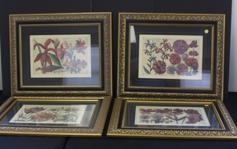 Four(4) Framed Botanical Prints (1 of 5)