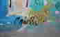 item-41521601=4