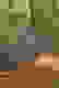 item-42835152=6