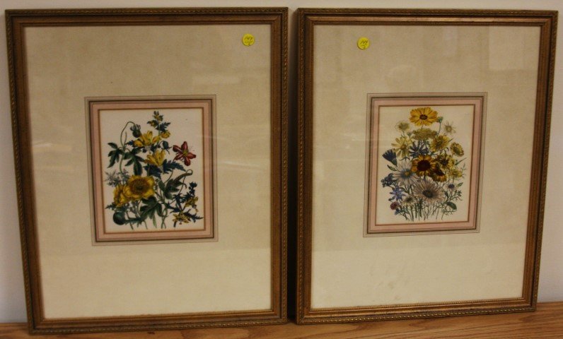 Pair of Framed Botanical Prints (1 of 5)