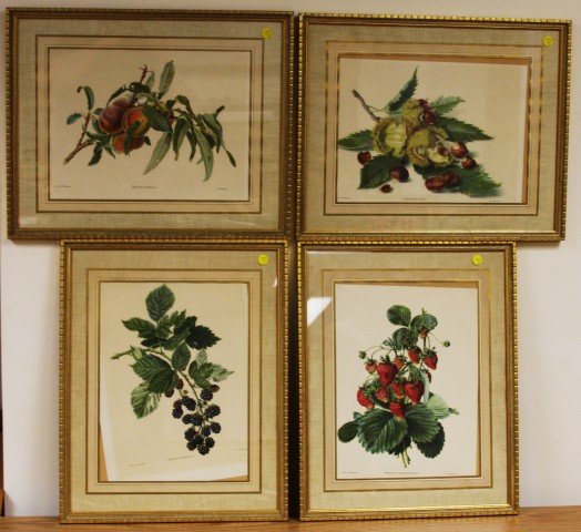 Four(4) Framed Botanical Prints (1 of 7)