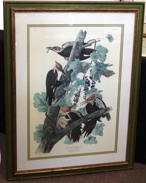 Framed Audubon Print (1 of 7)