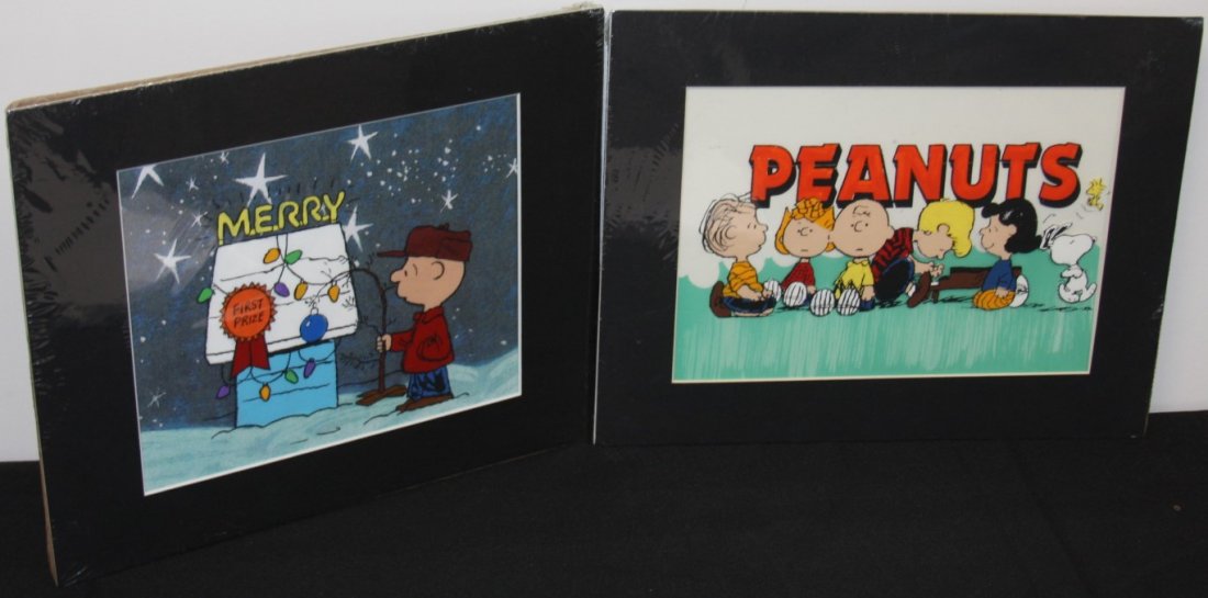 2 Animation Cels: Peanuts, Charlie Brown (1 of 3)