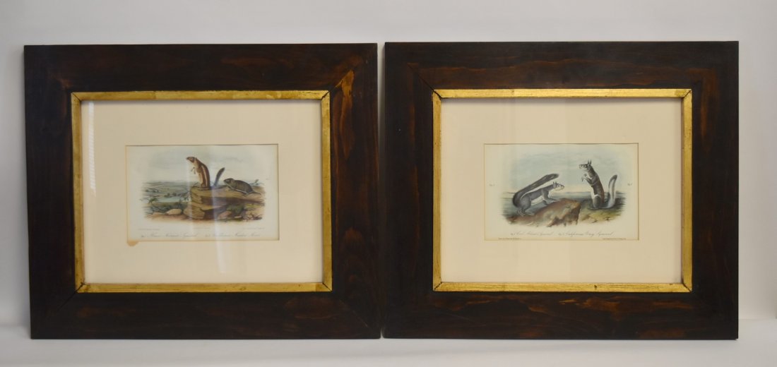 Pair of Framed Audobon Prints (1 of 6)