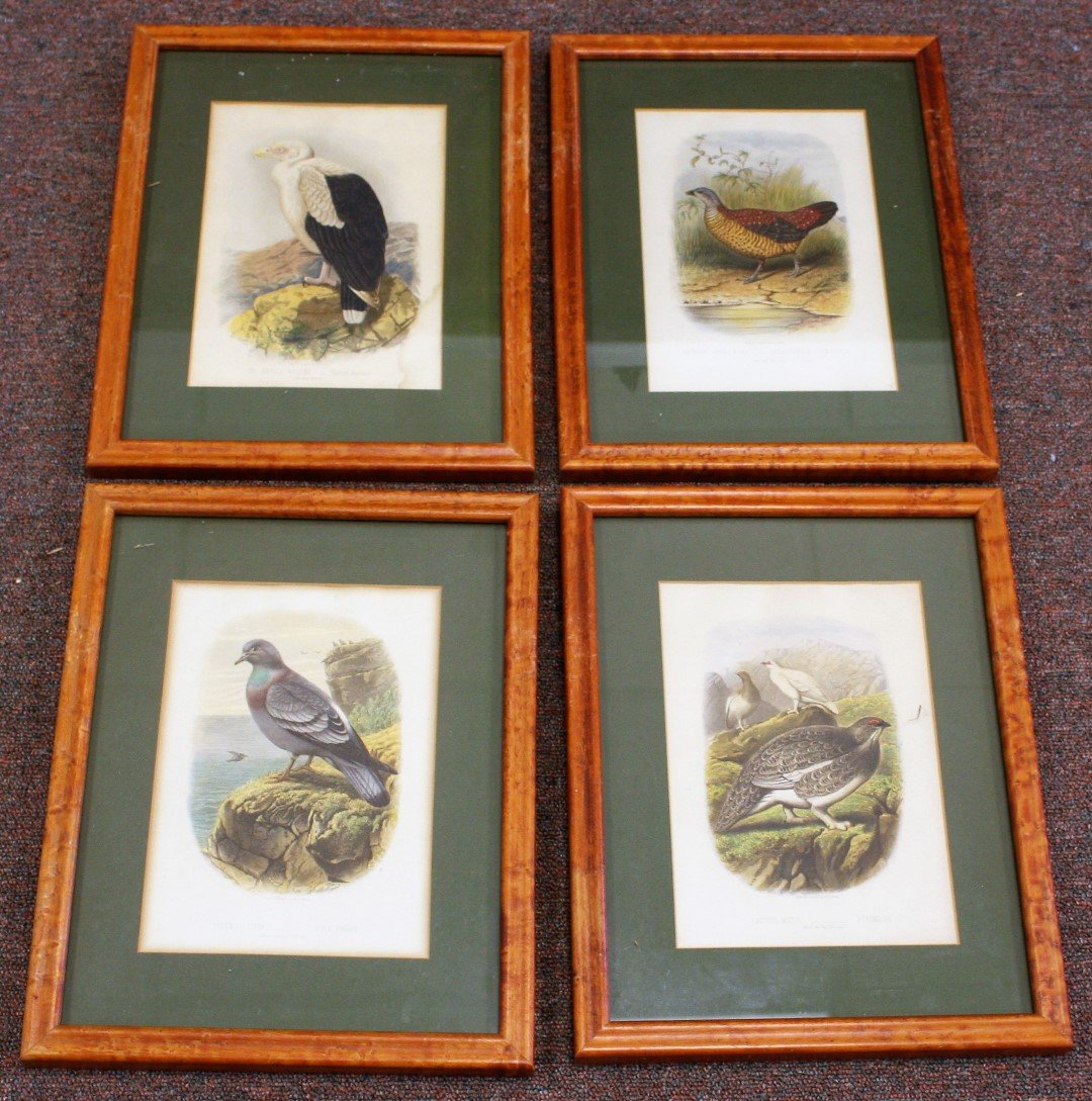 Four [4] Cassell Colored Fowl Prints (1 of 7)