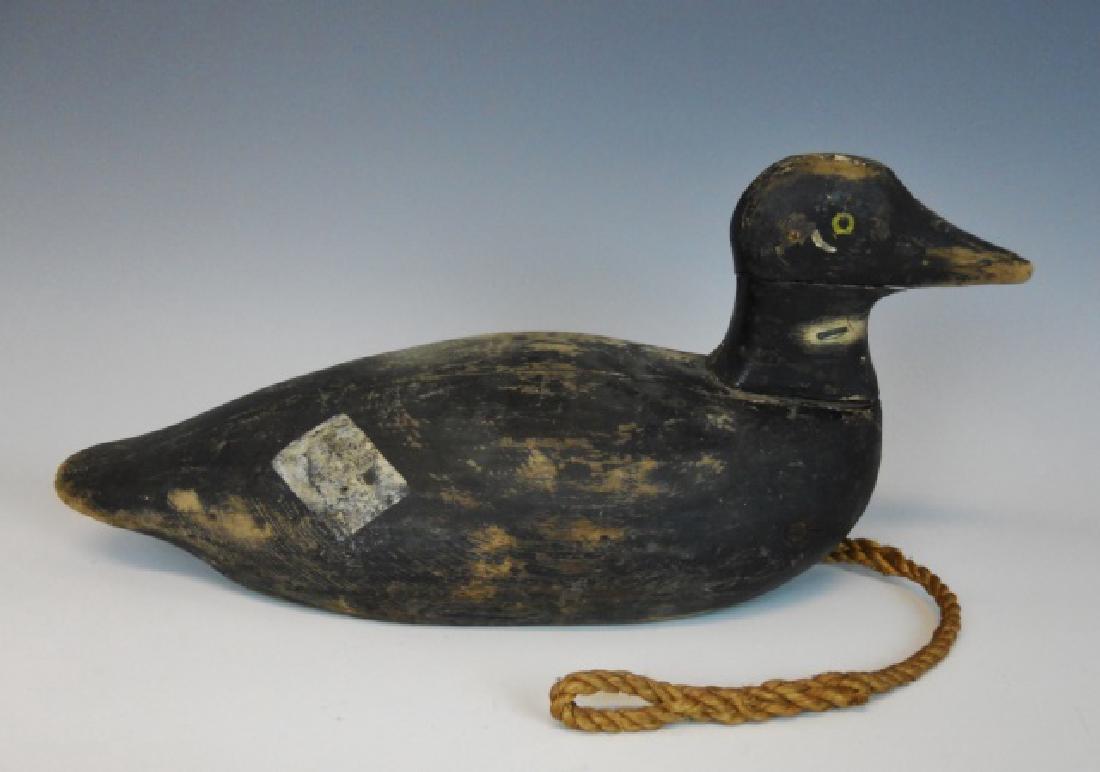 19th C. Hand Carved Scoter Decoy, Duxbury, MA: Early primitive hand carved and painted White Wing Scoter decoy. Surfaces with period paint exhibit wear consistent with use. Original lead weight, iron bale and spliced hemp rope rig are present. Dec