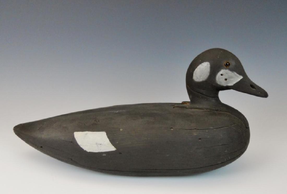Hand Carved, Painted Scoter Decoy, Gus Wilson