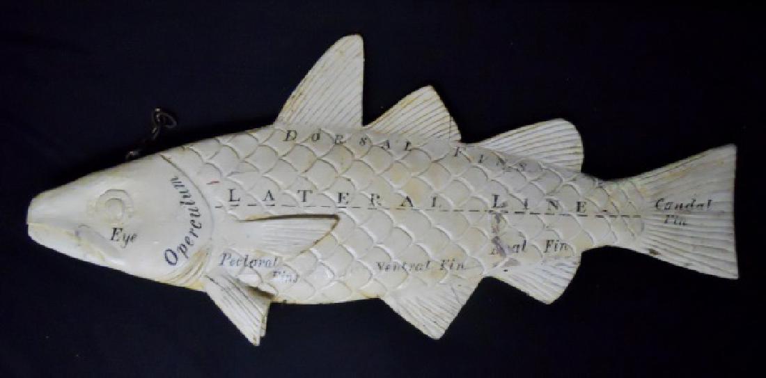 Vintage Carved Wood Fish with Scientific Diagram: Vintage Three dimensional carved wood fish in white paint. Double sided hand painted scientific notations of physiology. Some paint wear and scattered losses consistent with age and use. Measures: 22"