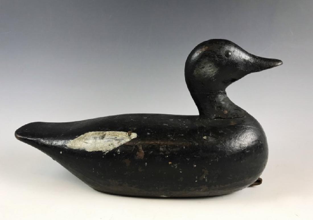 Hand Carved, Painted Scoter Decoy, Charles Hart: Antique hand carved and painted wood duck decoy with tack eyes, Charles Hart, Gloucester, Massachusetts. Wonderful primitive form with early painted surfaces and leather rig loop. Decoy measures: 7.75