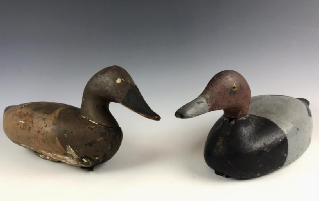 Hand Carved Painted Canvas Back Duck Decoys (2pc)