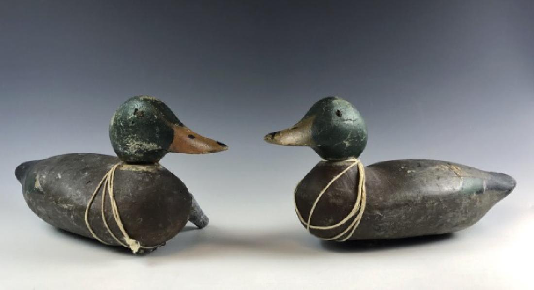 Two Rig Mate Mallard Decoys, Mason, (2pc): Two rig mate Mason carved wood Mallard duck decoys. Decoys with glass eyes are rigged with weights fixed to bottom and strung. Wear to paint with gunning touchups, one eye replaced. Measure: 7" H x 15