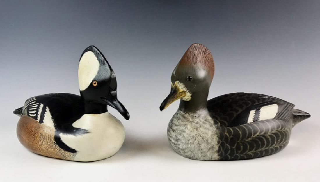 Two Bufflehead Duck Decoys, Chas Buchanan, (2pc): Two contemporary Canadian hand carved and painted Buffelhead duck decoys, Hen and Drake, signed on base, "CHAS BUCHANAN N. AUGUSTA ONT." Exceptionally carved and painted decoys with glass eyes in exce
