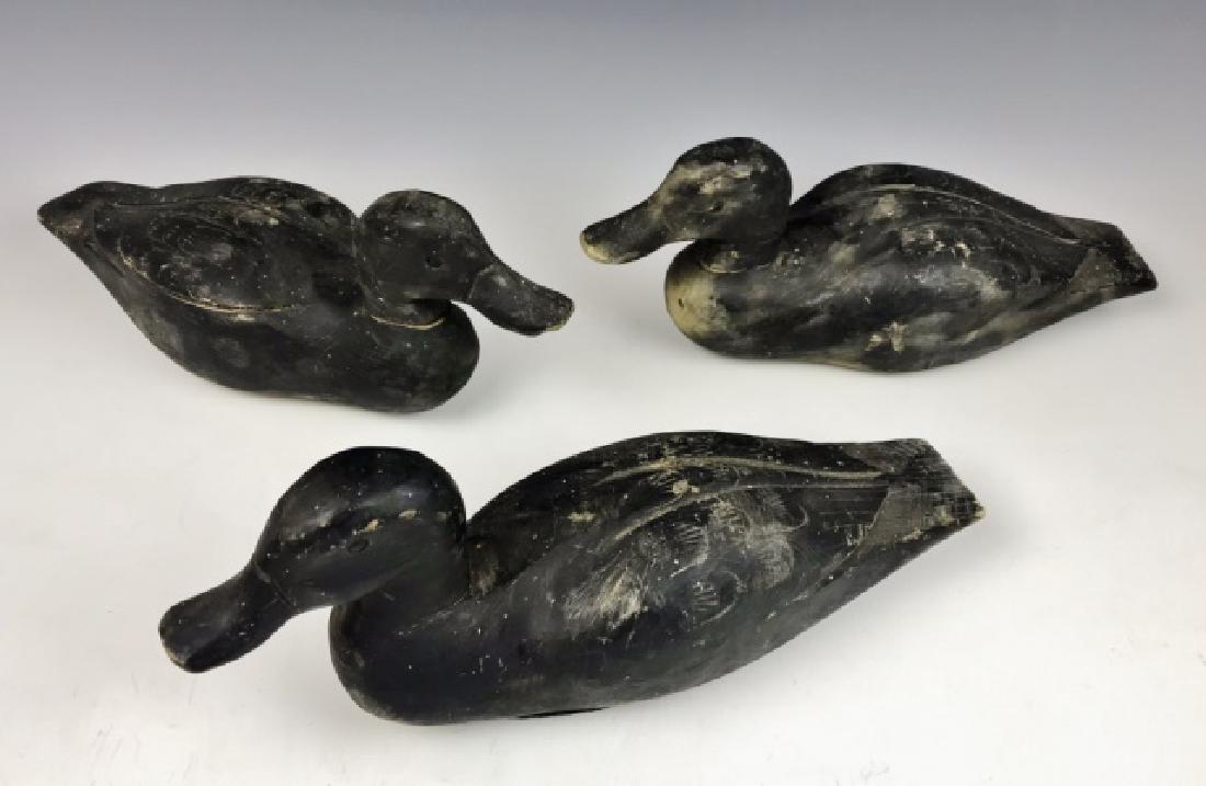 Antique Hand Carved Canadian Duck Decoys, (3pc): Collection of three hand carved and painted Canadian rig mate Black Duck decoys. Relief carved wings, tack eyes, bases with weights and rig hardware. Decoys measure: 15" L.