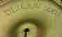 item-72242863=7