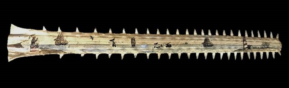 Antique Scrimshaw Sawfish Bill, Louis Correa: Antique scrimshaw sawfish bill signed "Louis Correa" artist from Dartmouth Massachusetts. Large bill with polychrome scrimshaw decoration of figures, ships, a lighthouse and whaling scene. Bill measur