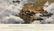 WW1 Great Britain Royal Flying Corps Group (16pc) - 2