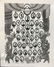 WW1 US Lafayette Escadrille Carl Dolan (11pc) - 6