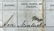 1863 Civil War Naval Discharge, Nantucket, MA - 5