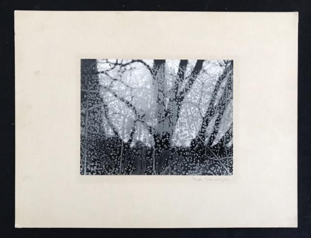 Photograph "Frosted Window" signed Paul Caponigro: Black and white gelatin silver photograph, "Frosted Window", signed in pencil, "Paul Caponigro", (Paul Caponigro, American, b-1932). Photograph mounted to board, measures: 6.75" H x 9" L, image: 3.75"