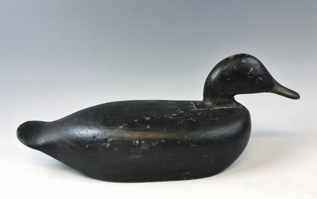 Maine Black Duck Decoy, Willie Ross: Antique hand carved and painted Black duck decoy, by Willie Ross, Chebeague Island, Maine. Large carved body with slotted head and glass eyes. Original paint with gunning touchups and light wear. Meas